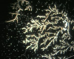 Buch: Hydroxypathie - Auf dem Weg zum bioverfügbaren Menschen