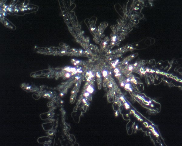 Hexagonale Struktur von OerthoCell balance OH- Lösung